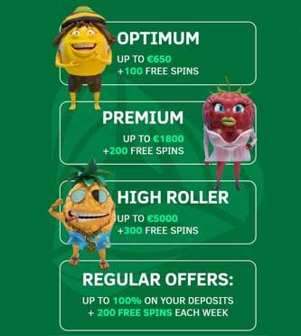 registration in Greenspin casino